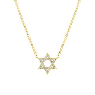 14K GOLD DIAMOND SMALL STAR OF DAVID NECKLACE